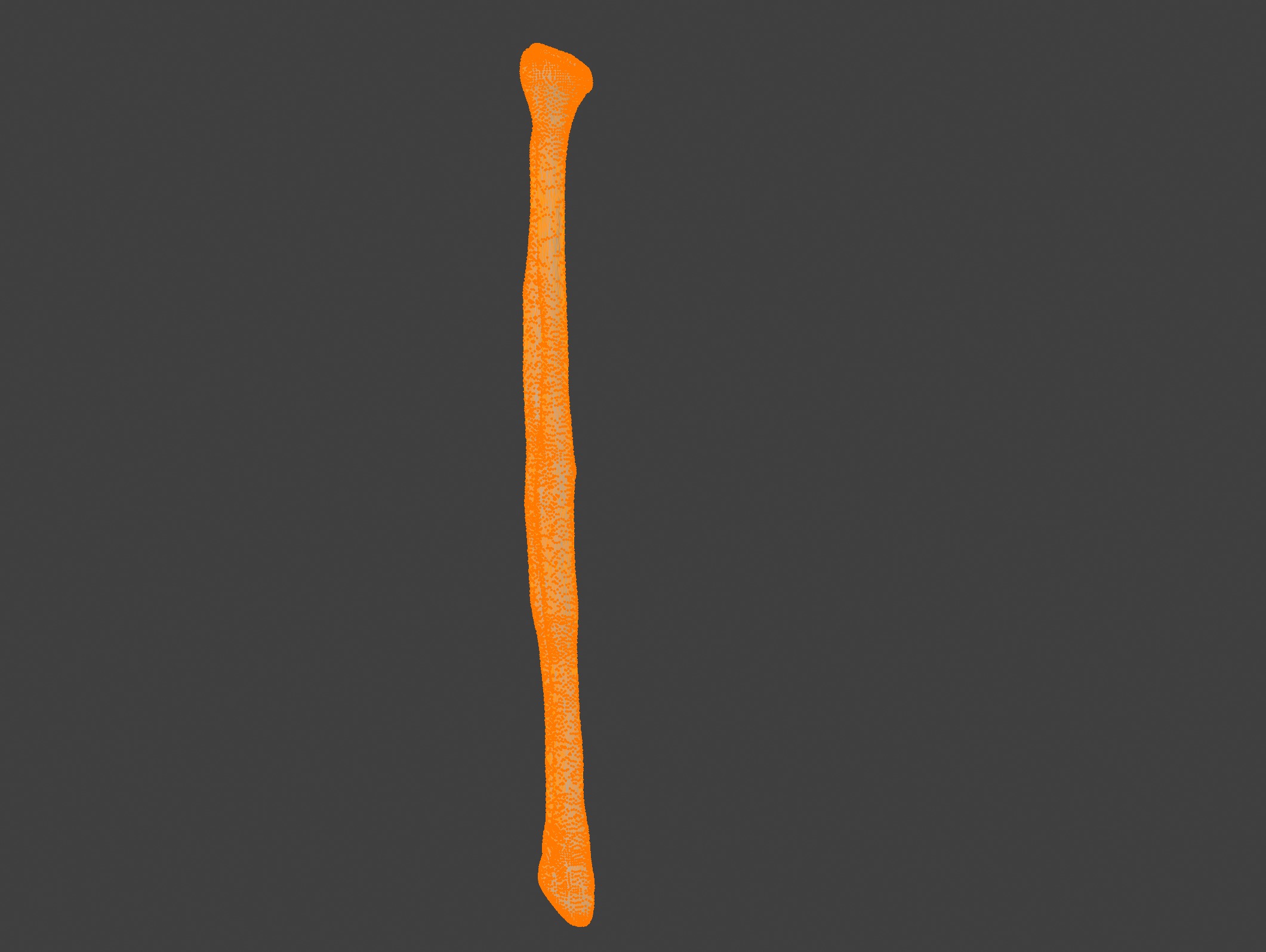 3D Model of Fibula Bone 3D print model_5