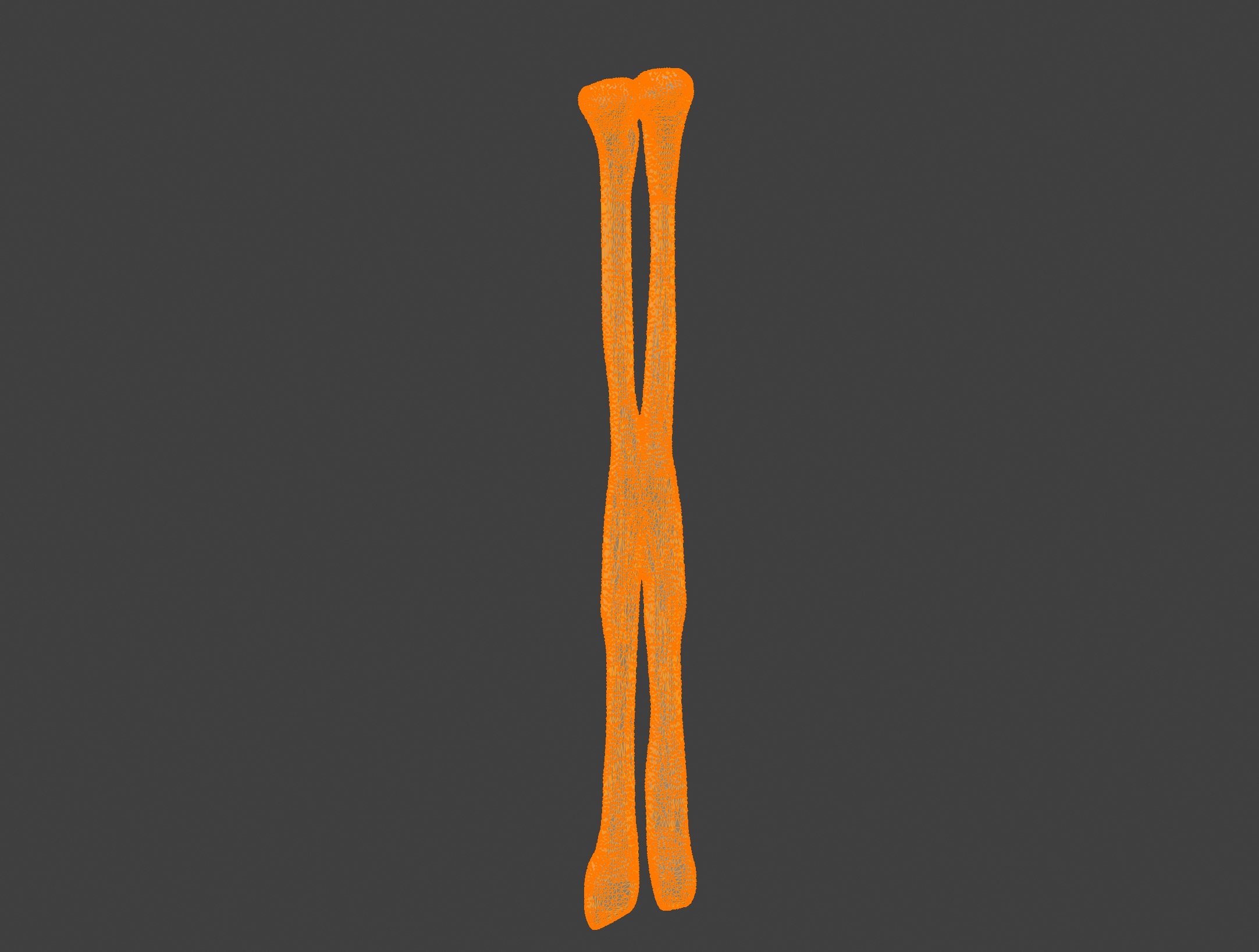3D Model of Fibula Bone 3D print model_6
