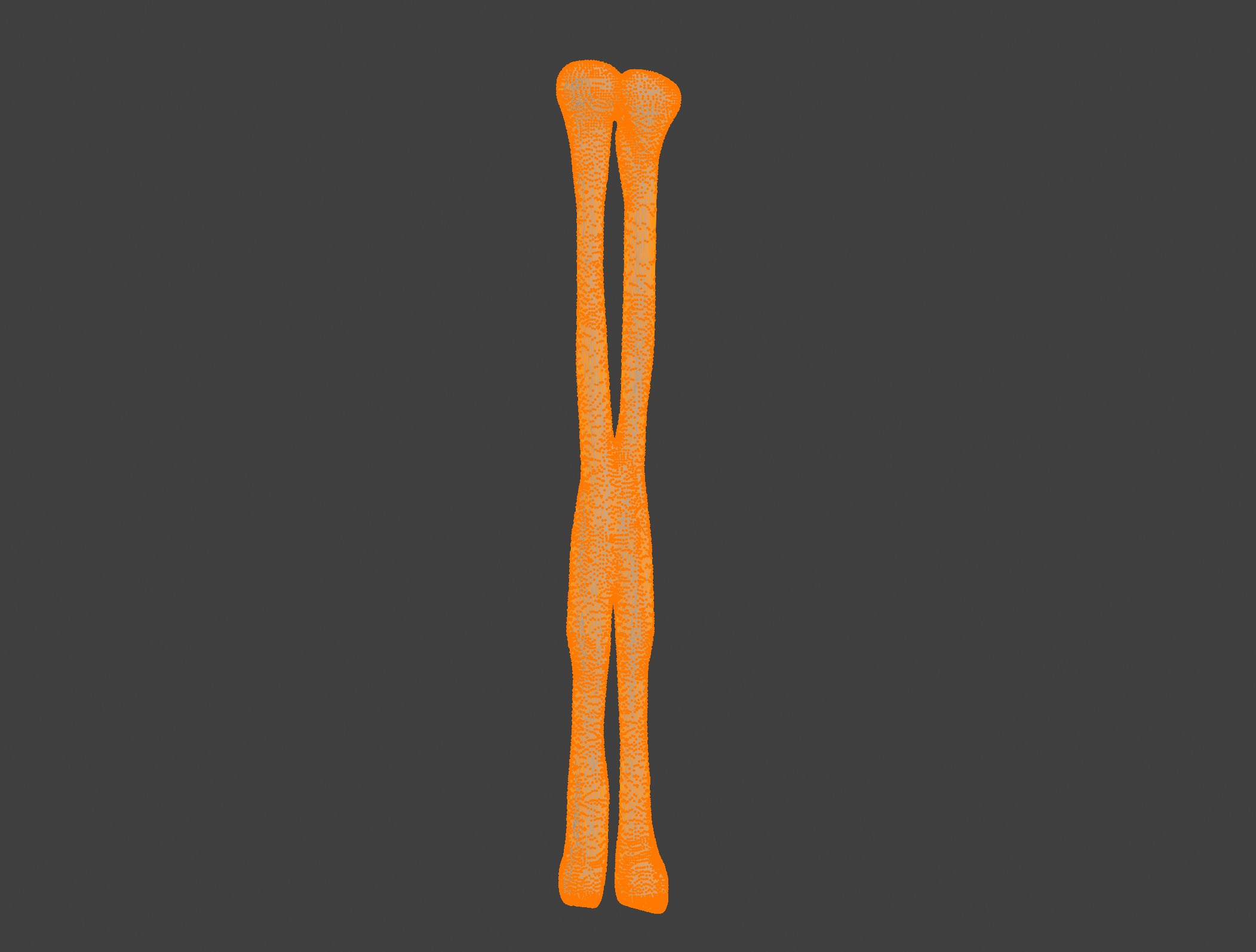 3D Model of Fibula Bone 3D print model_4