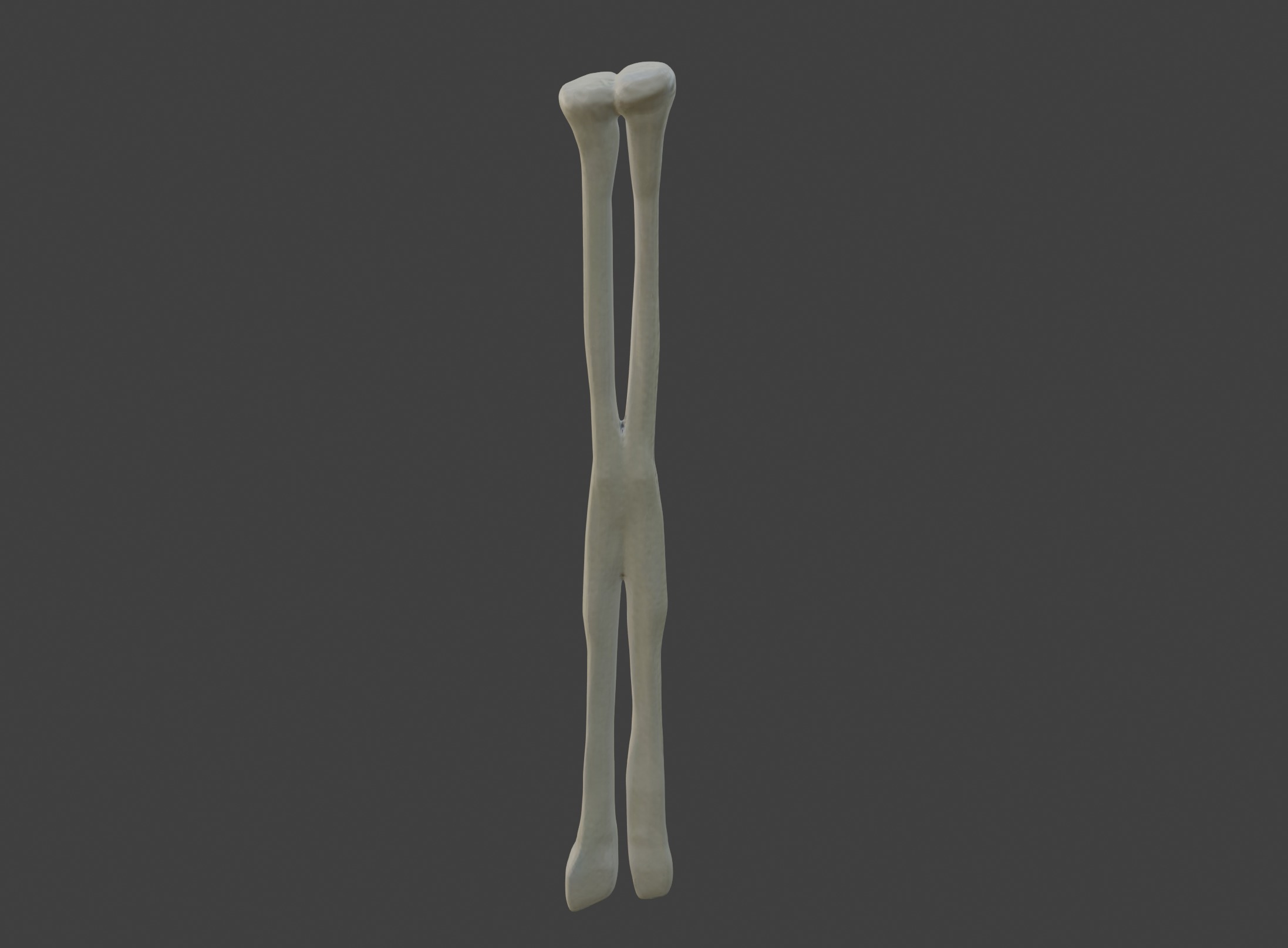 3D Model of Fibula Bone 3D print model_2