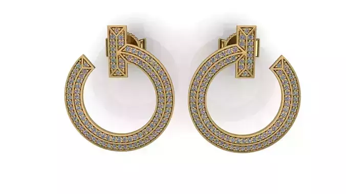 T Earrings