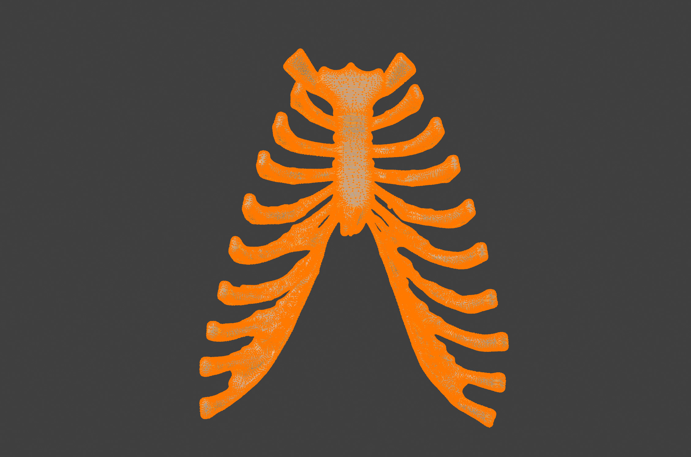  3D Model of Sternum Bone with Cartilage 3D print model_13