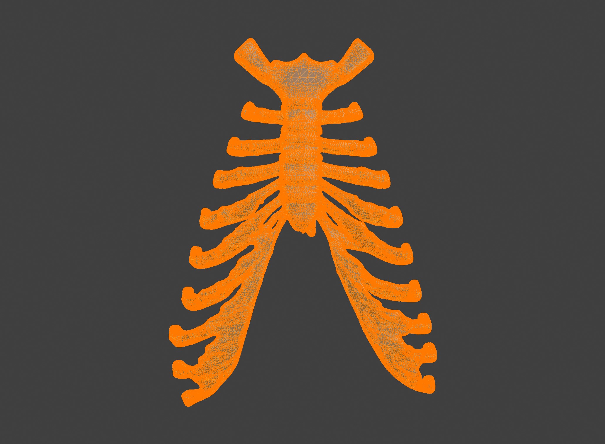  3D Model of Sternum Bone with Cartilage 3D print model_15