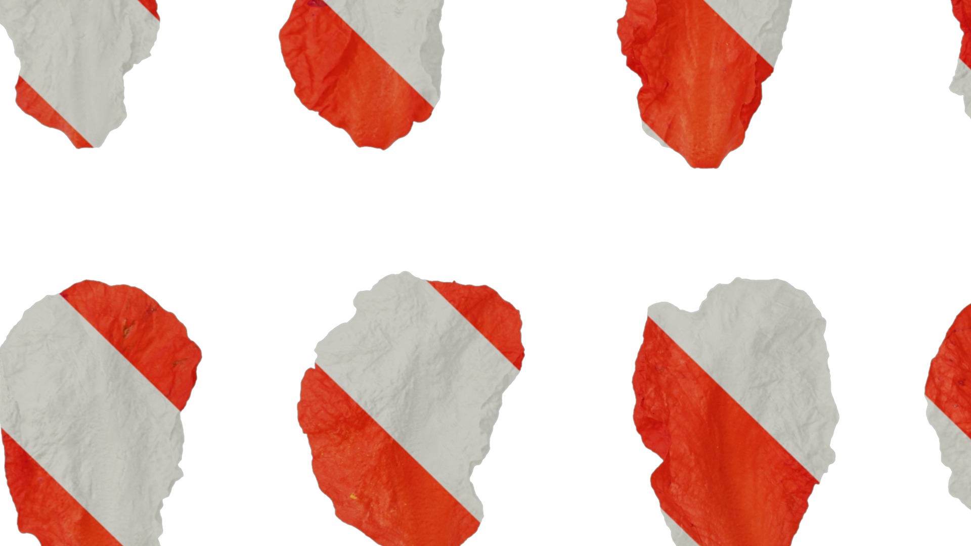 Anydrafts Punica granatum Flower 05 Texture_3