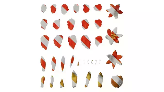 Anydrafts Punica granatum Flower 05