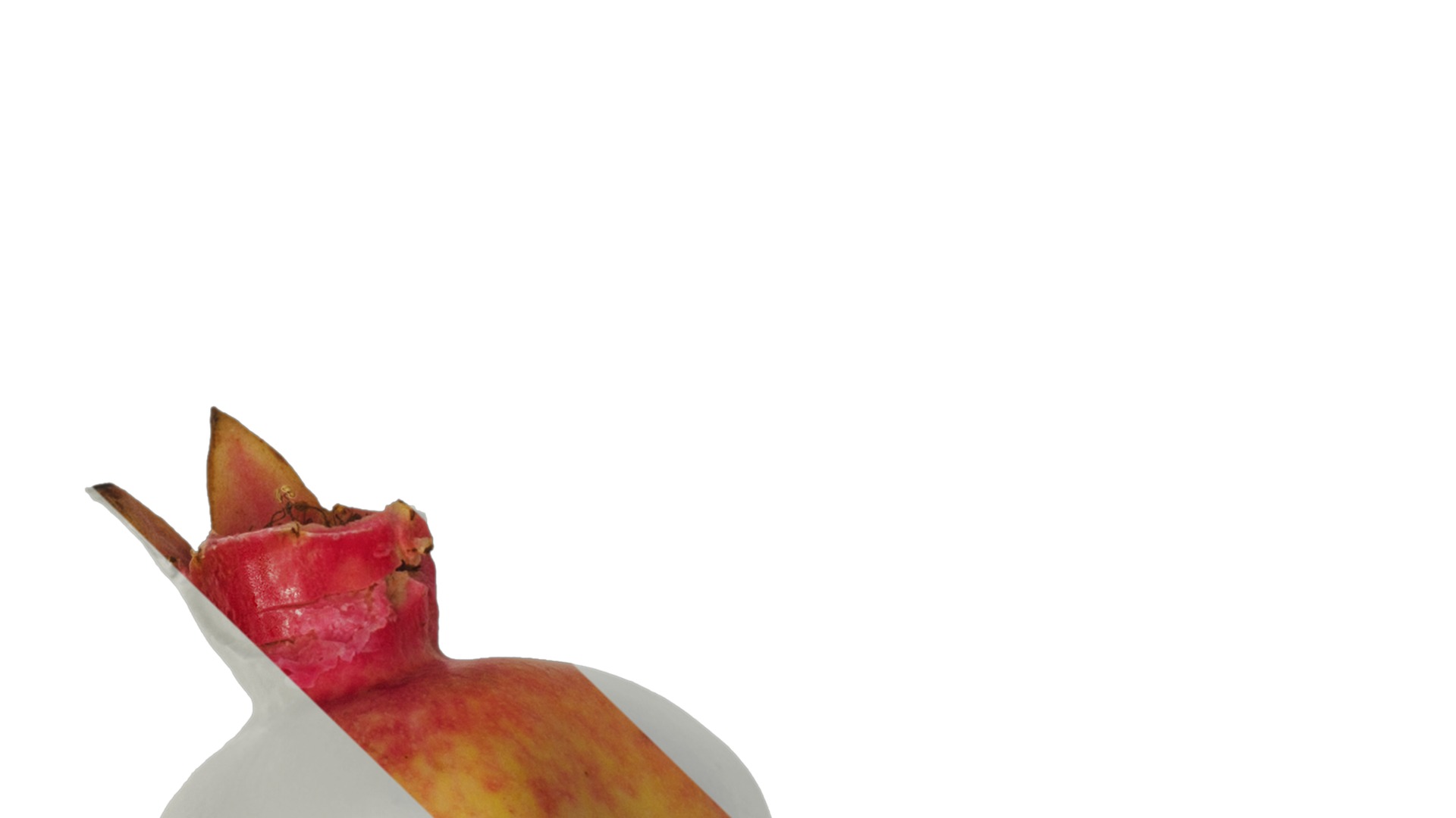 Anydrafts Punica granatum Fruit 02 Texture_1