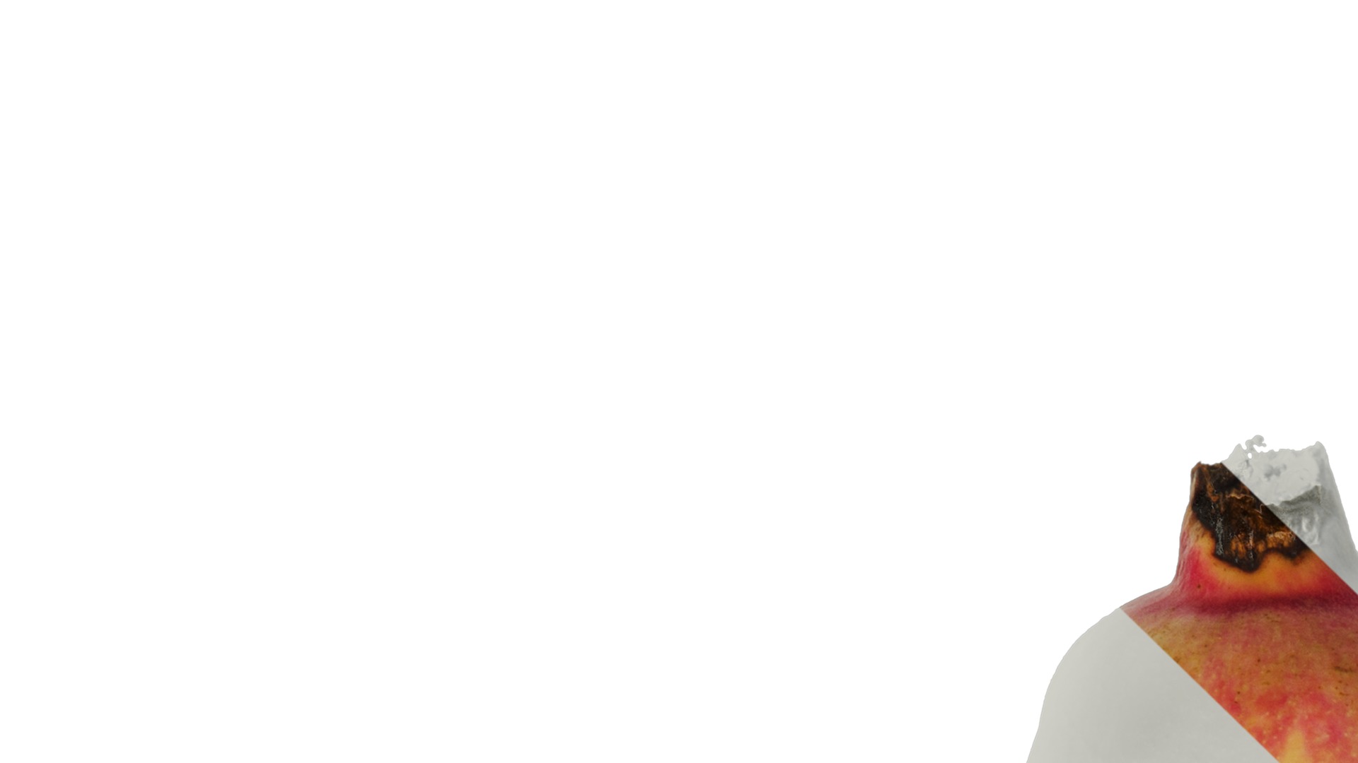 Anydrafts Punica granatum Fruit 02 Texture_5