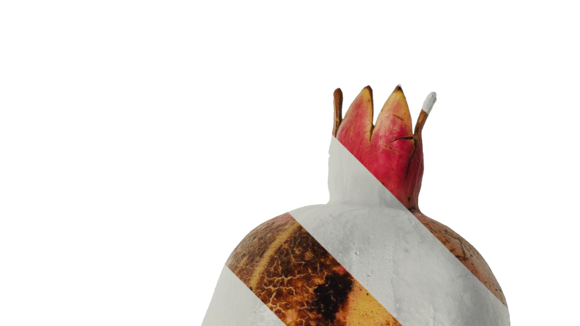 Anydrafts Punica granatum Fruit 02 Texture_2