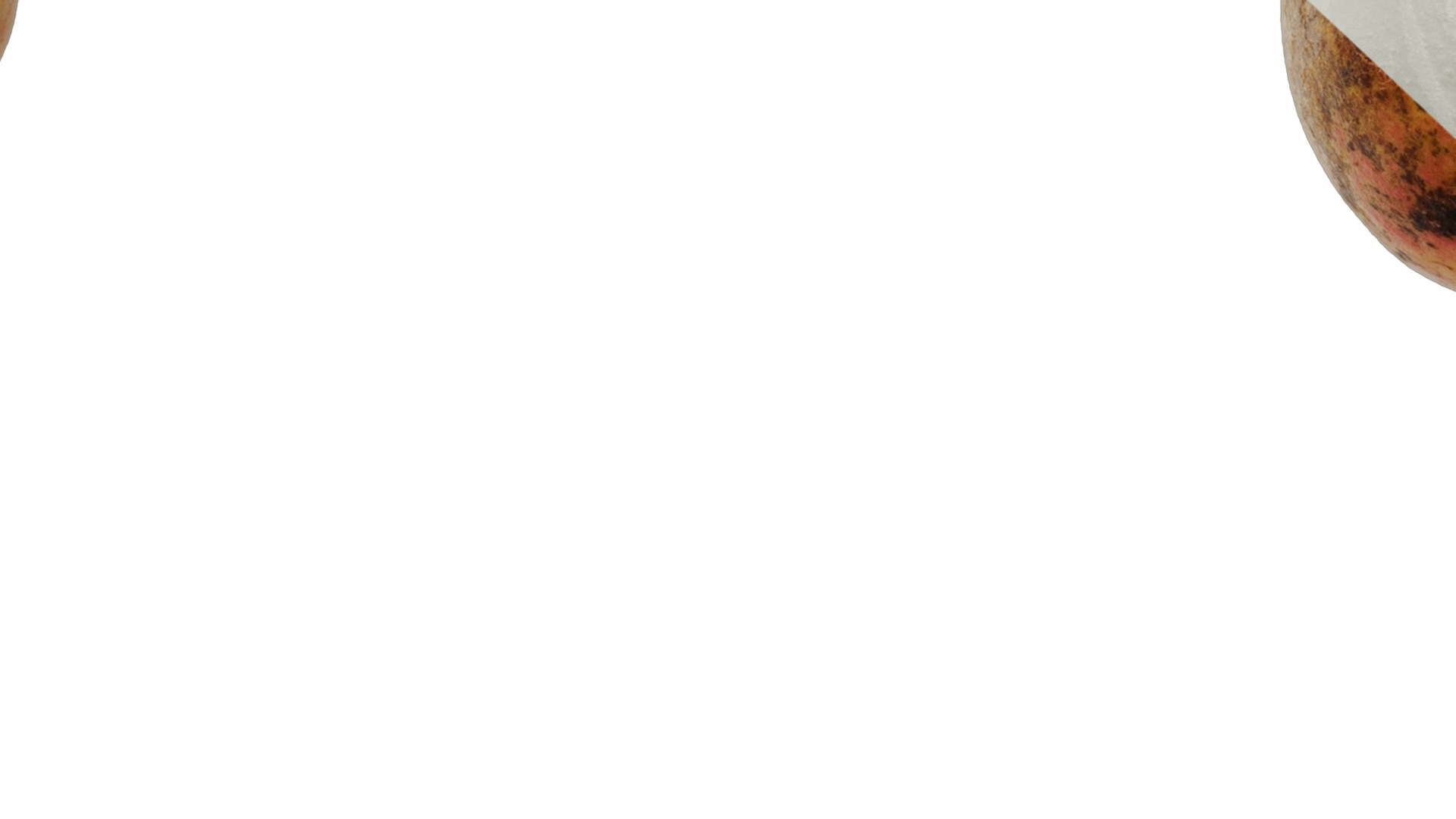 Anydrafts Punica granatum Fruit 02 Texture_7