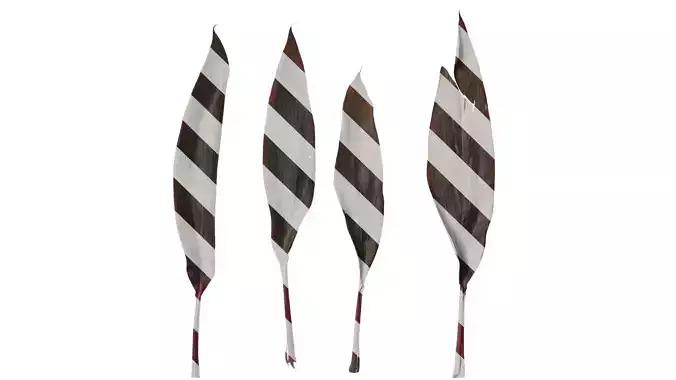 Anydrafts Cordyline fruticosa Leaf 02