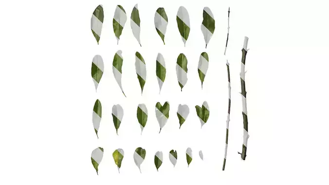 Anydrafts Punica granatum Leaf 04