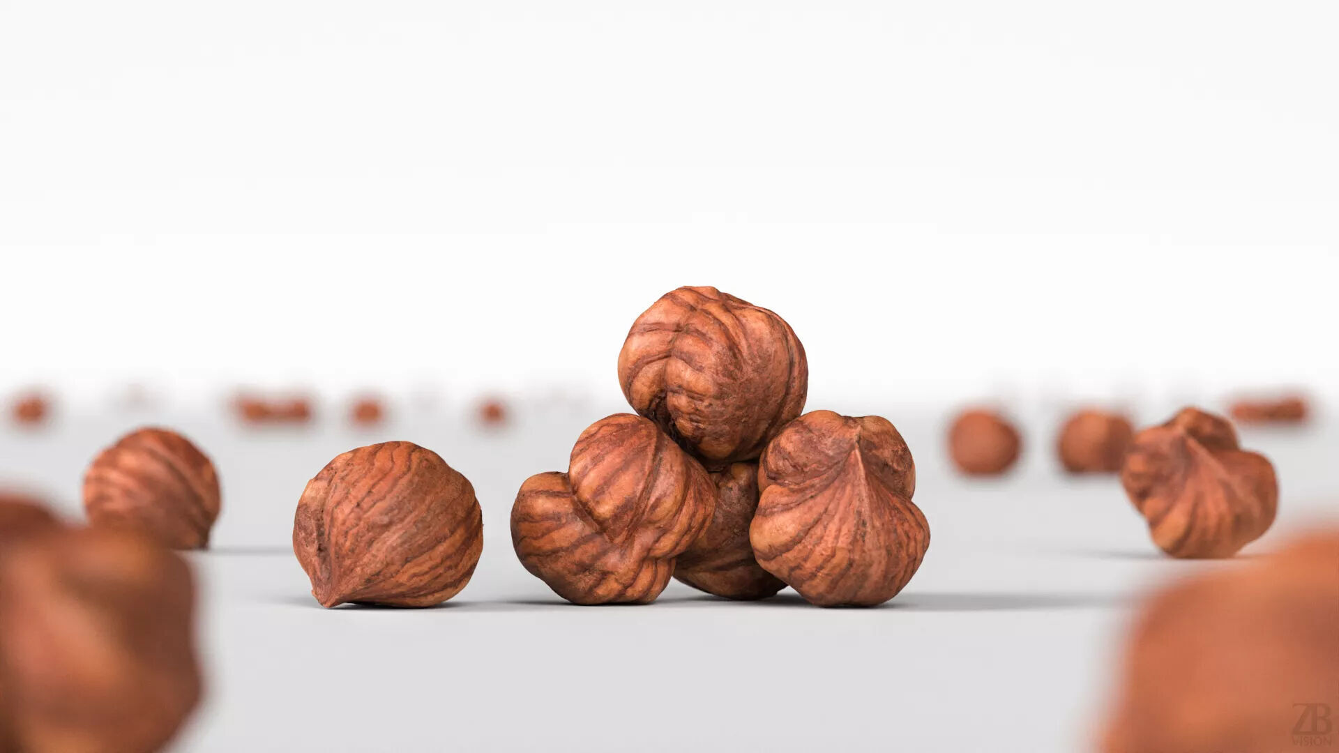 Hazelnut 3D model_1