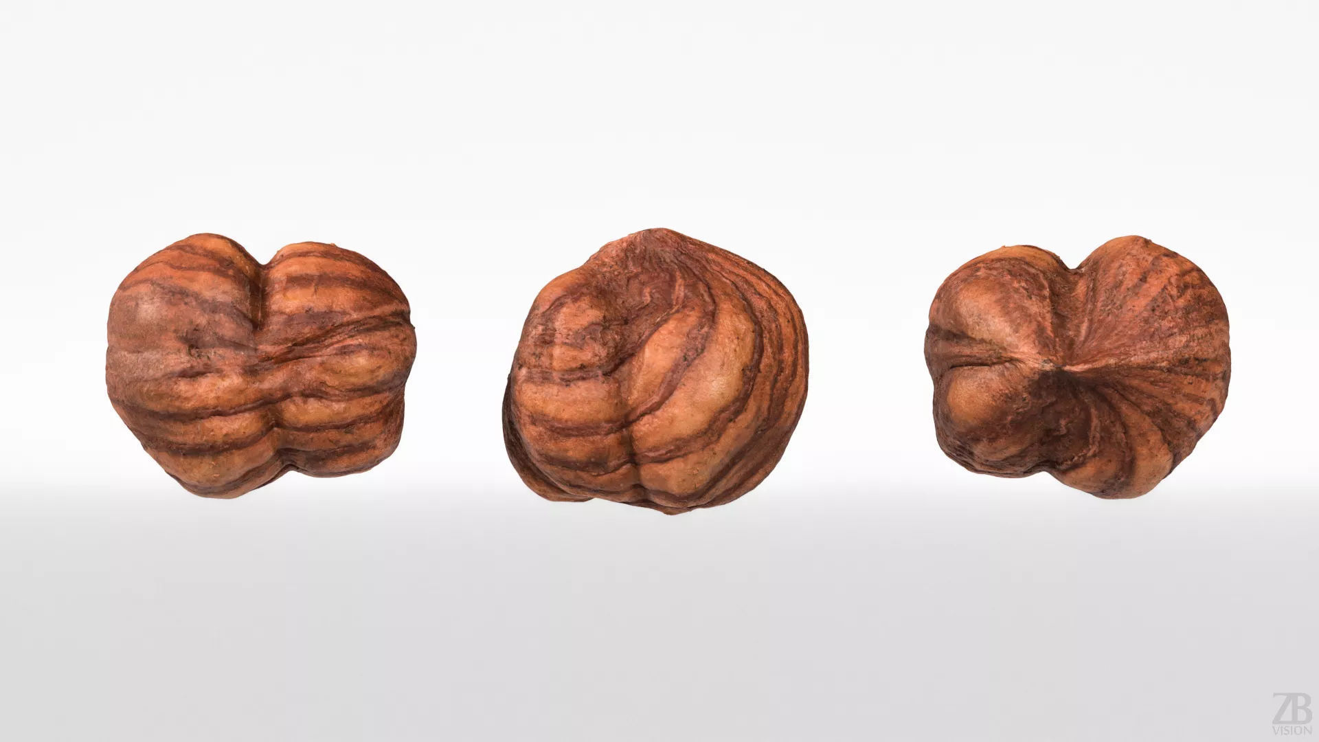 Hazelnut 3D model_4