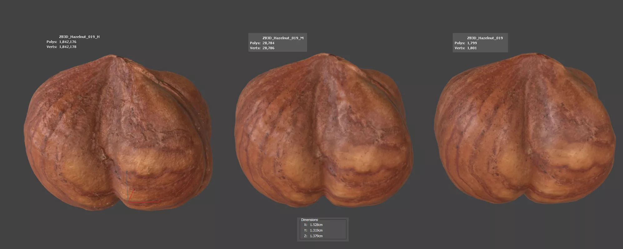 Hazelnut 3D model_5