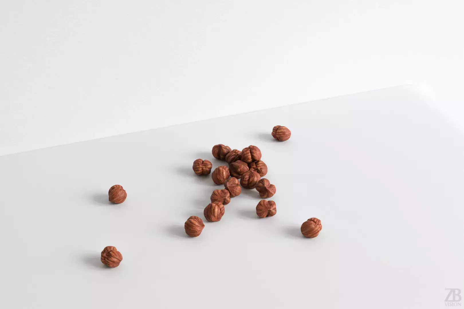 Hazelnut 3D model_0