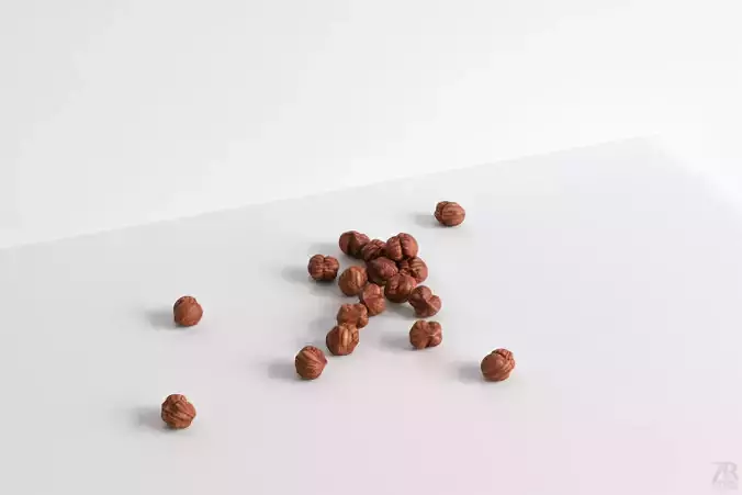 Hazelnut 3D model Hazelnut 3D model