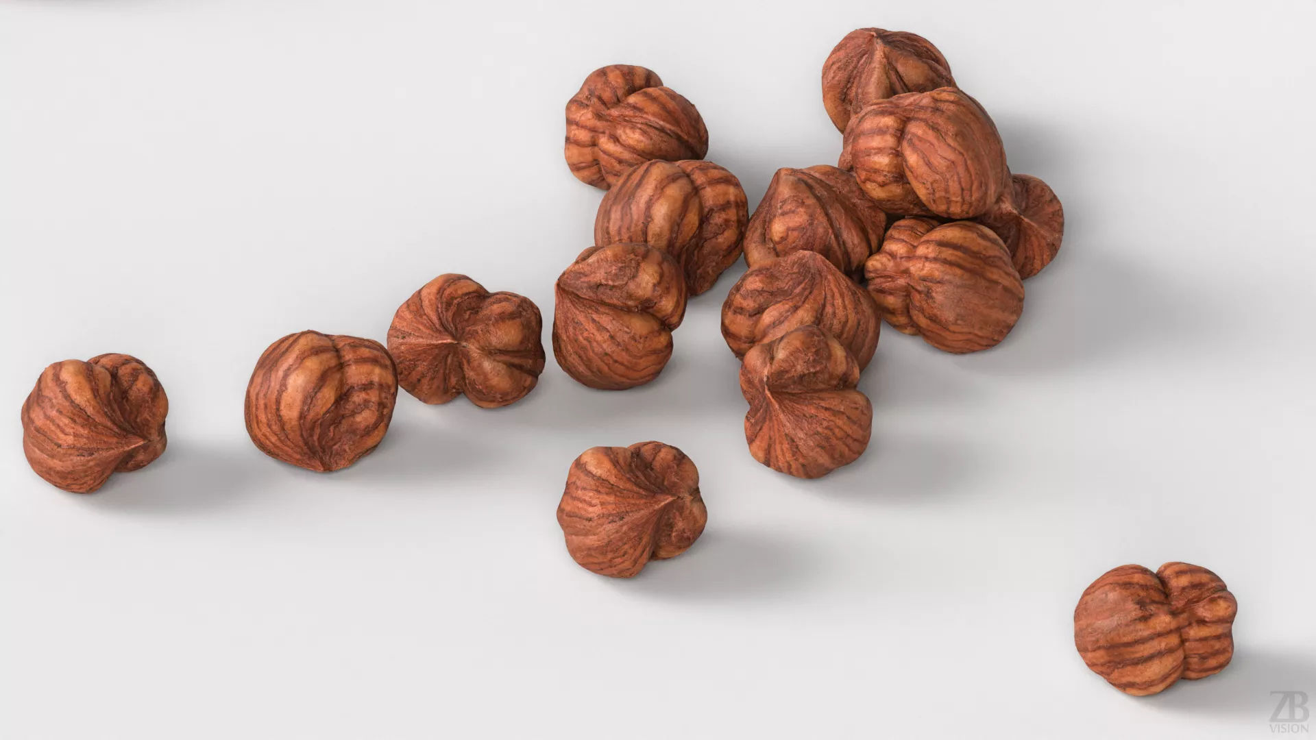 Hazelnut 3D model_2