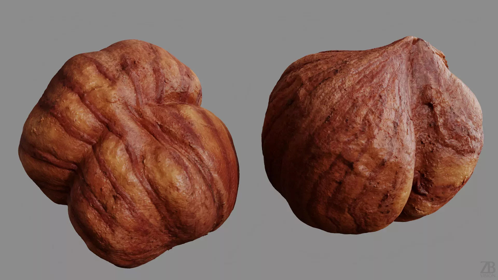 Hazelnut 3D model_8
