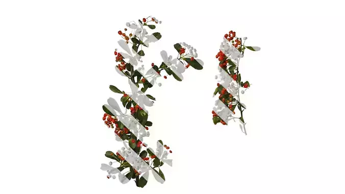 Anydrafts Pyracantha crenatoserrata Atlas 14