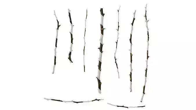 Anydrafts Pyracantha crenatoserrata Stem 01