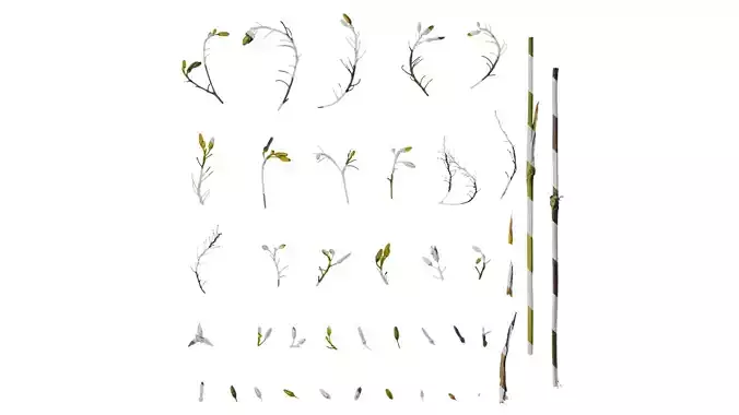 Anydrafts Dianella ensifolia Flower 01