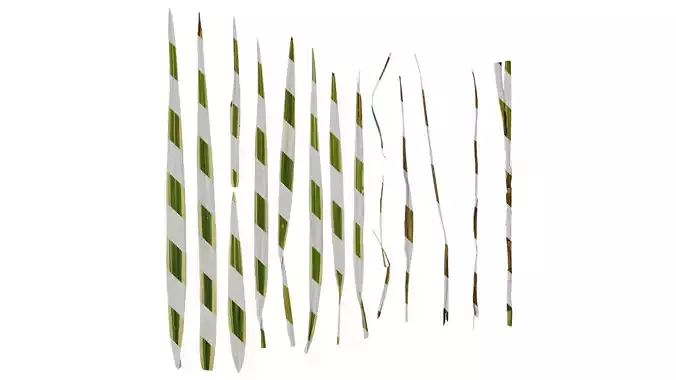 Anydrafts Dianella ensifolia Leaf 01