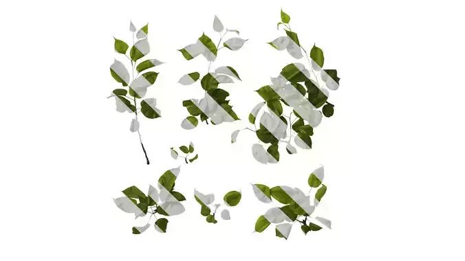 Anydrafts Pyrus Atlas 13