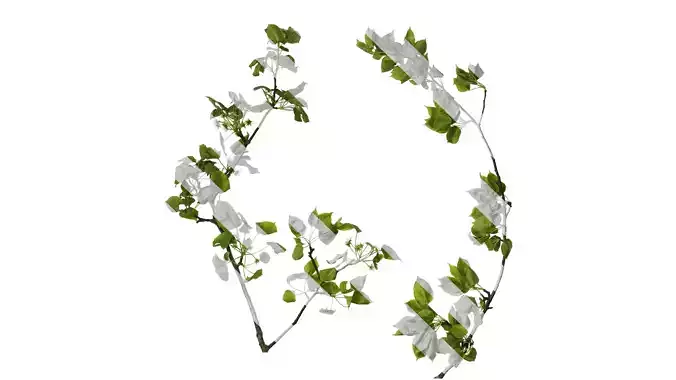 Anydrafts Pyrus Atlas 15