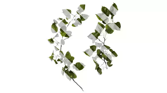 Anydrafts Pyrus Atlas 17