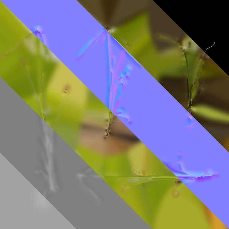 Anydrafts Dichromena colorata Atlas 01 Texture_8