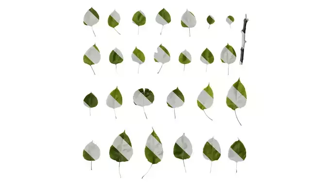 Anydrafts Pyrus Leaf 06