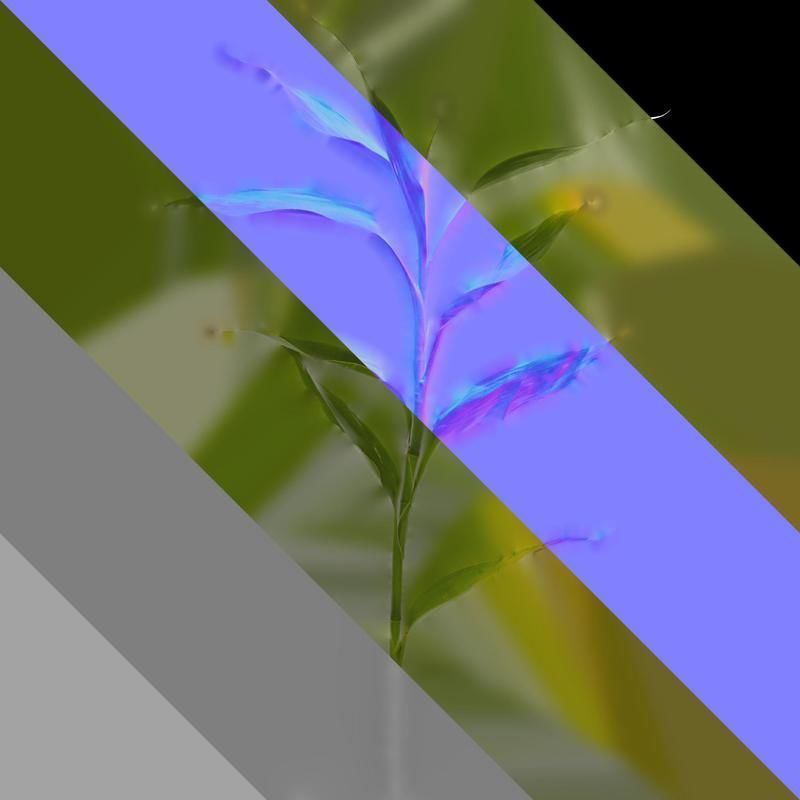 Anydrafts Dracaena sanderiana Atlas 04 Texture_8