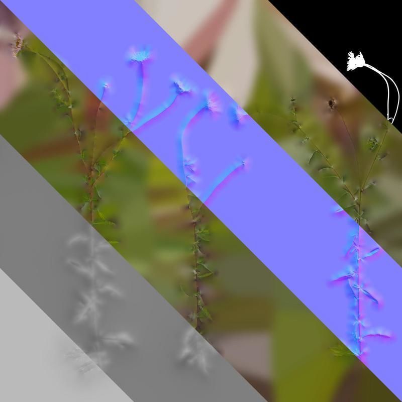 Anydrafts Erigeron acris Atlas 02 Texture_8