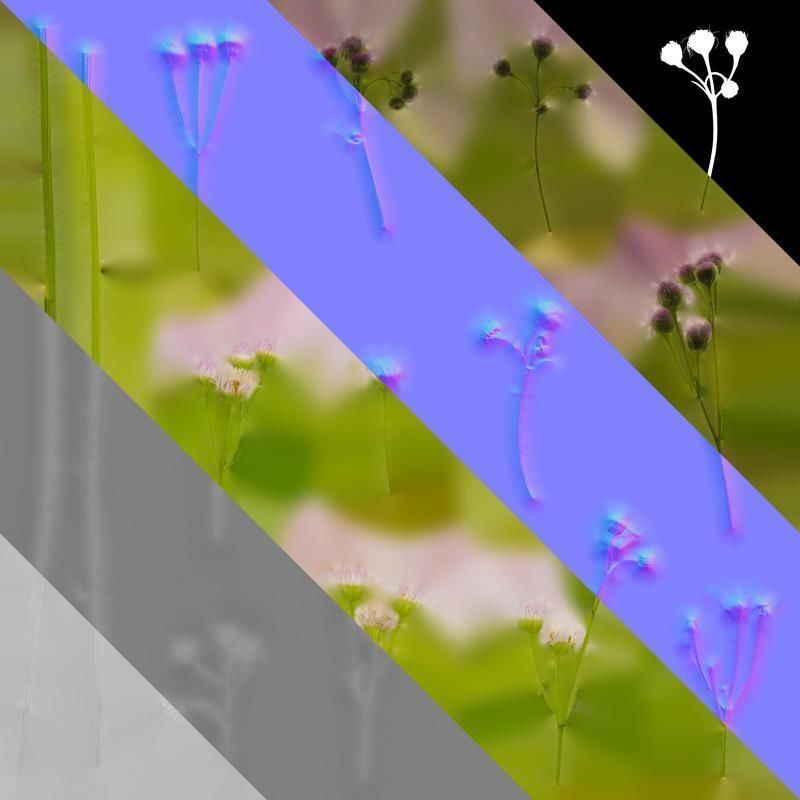 Anydrafts Erigeron acris Flower 03 Texture_8