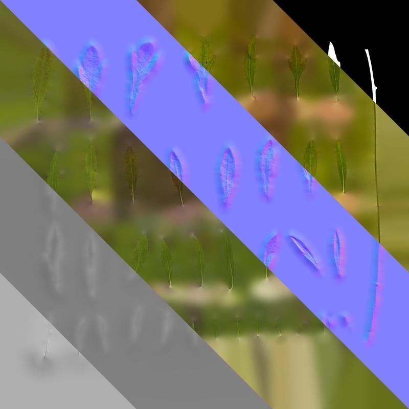 Anydrafts Erigeron acris Leaf 01 Texture_8