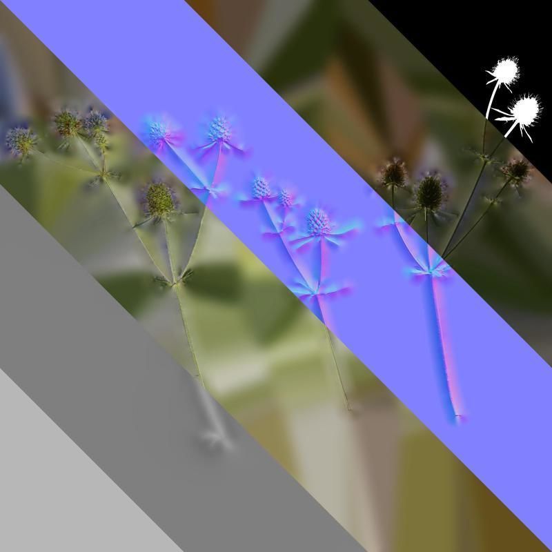 Anydrafts Eryngium foetidum Atlas 06 Texture_8