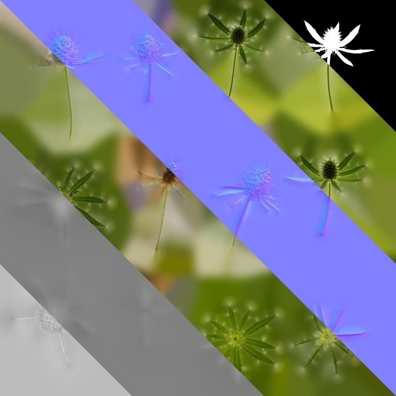 Anydrafts Eryngium foetidum Flower 01 Texture_8