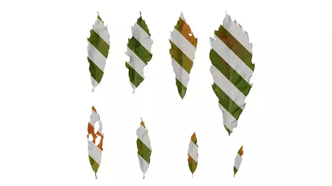 Anydrafts Quercus serrata Leaf 02 F