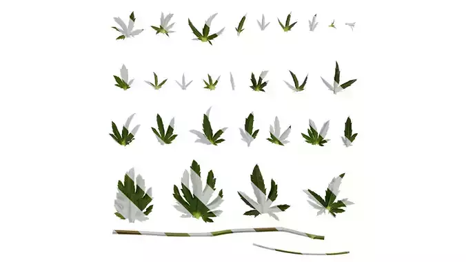 Anydrafts Eryngium foetidum Leaf 02