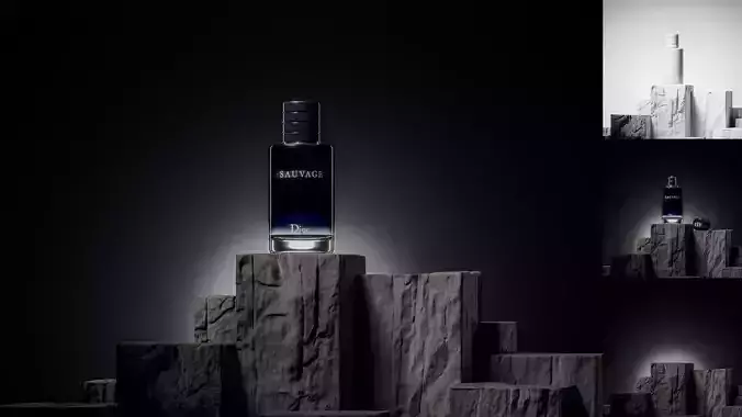 Dior Sauvage perfume sitting on the rock II 3D model