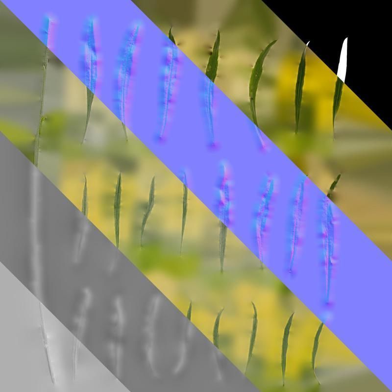 Anydrafts Euphorbia Leaf 02 Texture_8