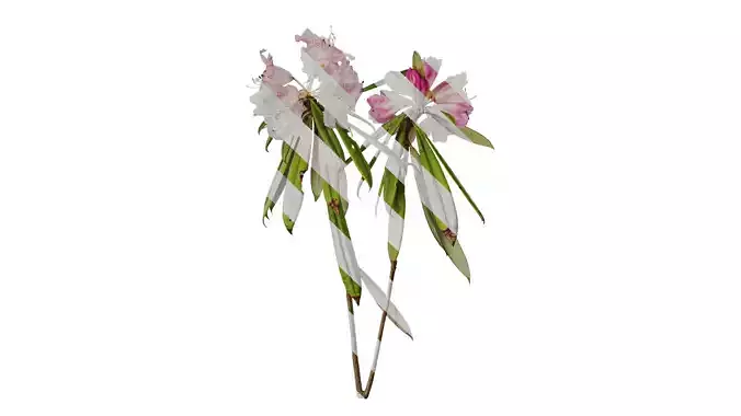 Anydrafts Rhododendron lapponicum Atlas 01