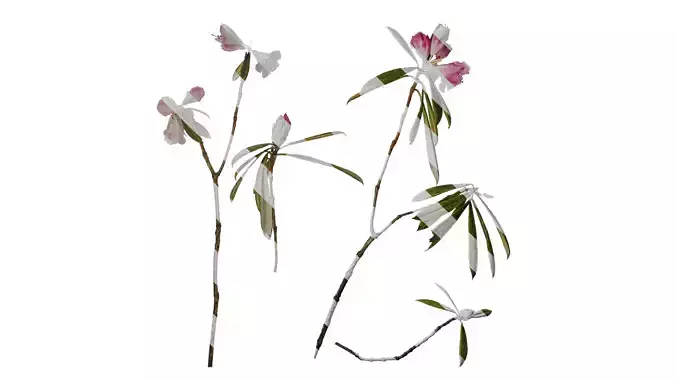 Anydrafts Rhododendron lapponicum Atlas 03