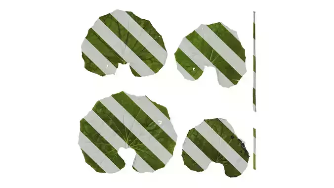 Anydrafts Farfugium japonicum Leaf 03