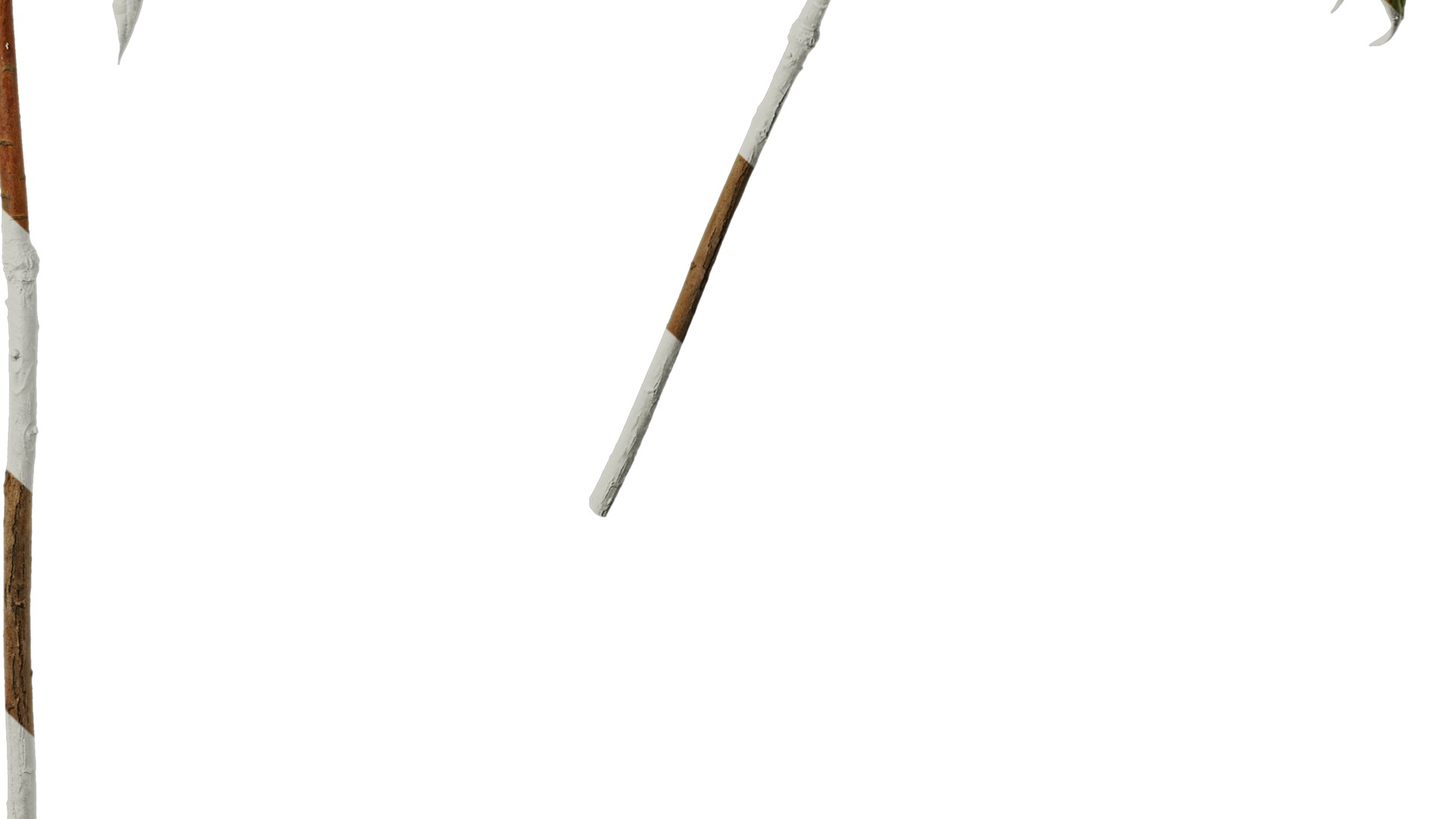 Anydrafts Rhododendron lapponicum Atlas 09 Texture_6