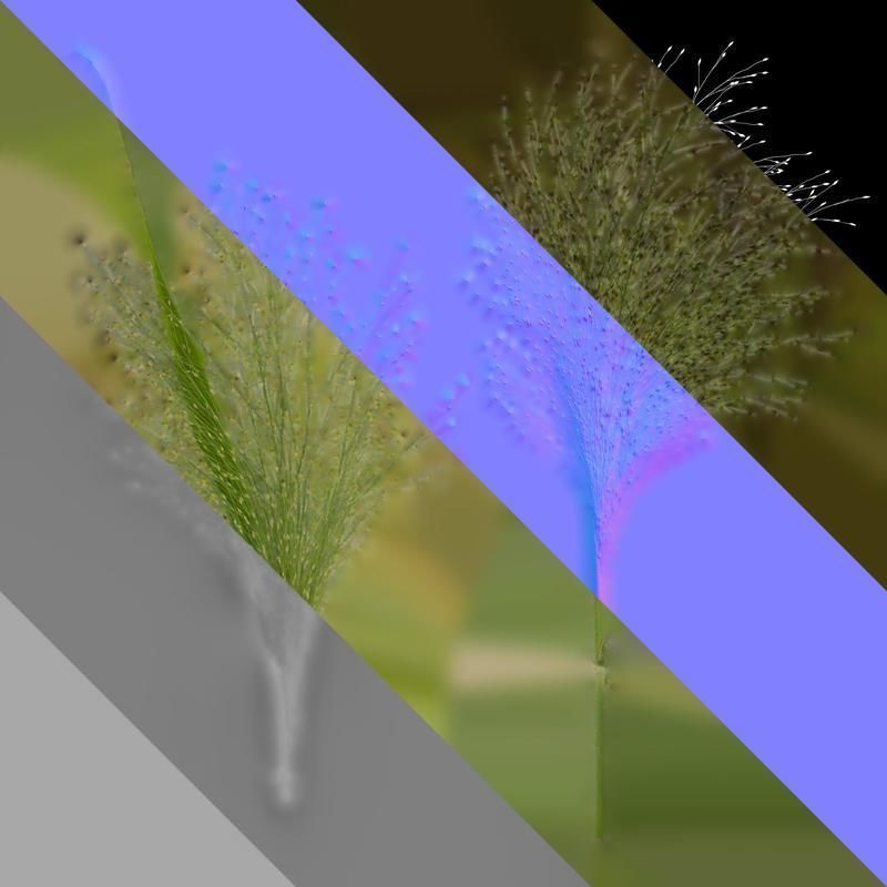 Anydrafts Fountain grass Atlas 03 Texture_8