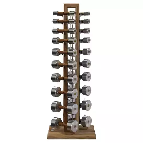 Paragon Hand Weight Set