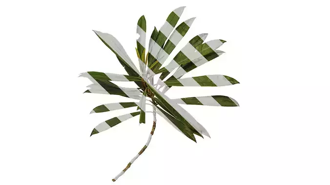 Anydrafts Rhododendron lapponicum Atlas 15