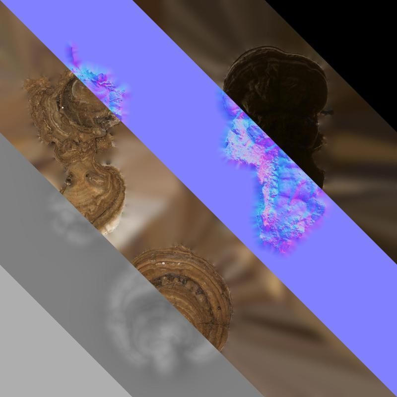 Anydrafts Ganoderma lucidum Atlas 13 Texture_8