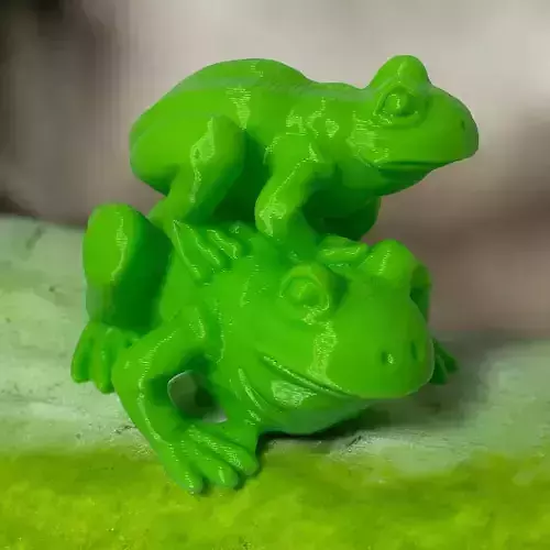 Frog X2 3D print model